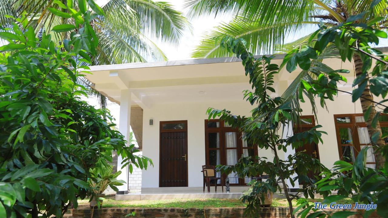 The Green Jungle Dambulla Ngoại thất bức ảnh