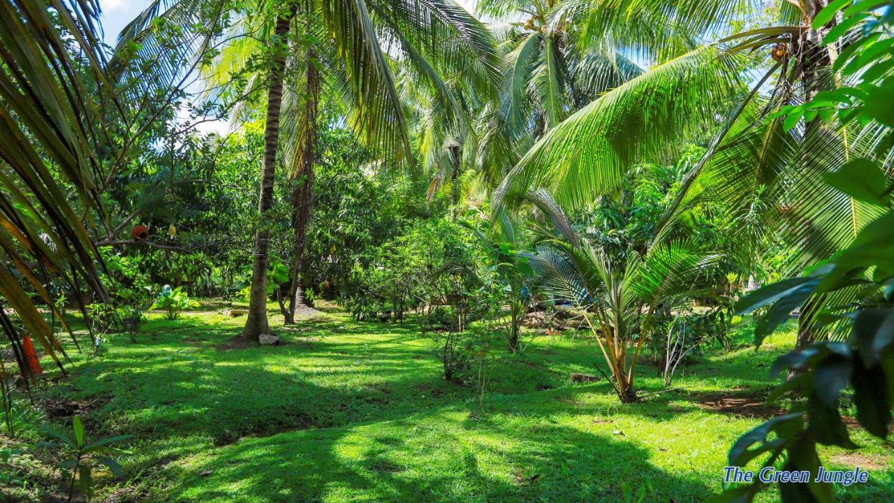 The Green Jungle Dambulla Ngoại thất bức ảnh