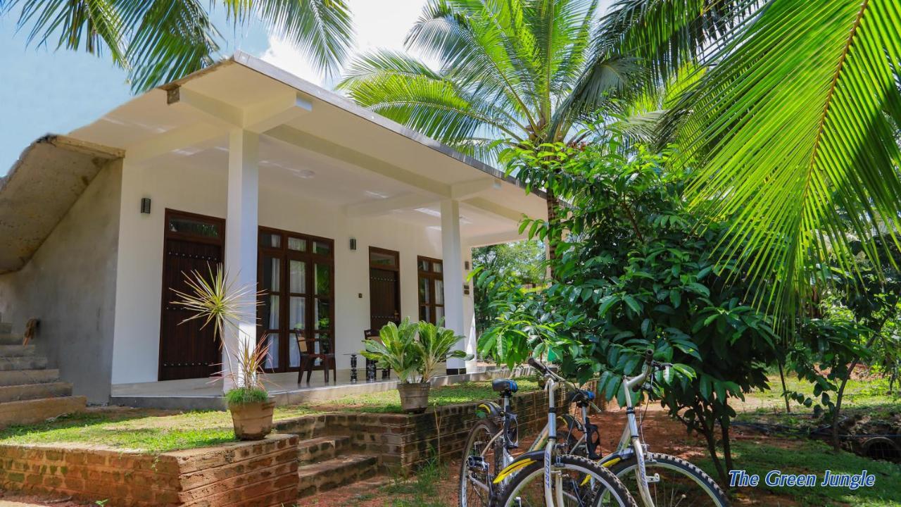 The Green Jungle Dambulla Ngoại thất bức ảnh