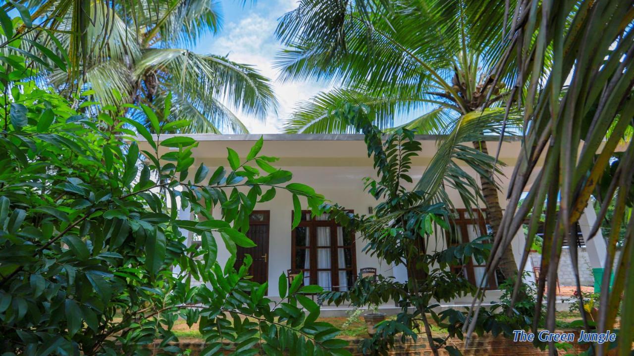 The Green Jungle Dambulla Ngoại thất bức ảnh